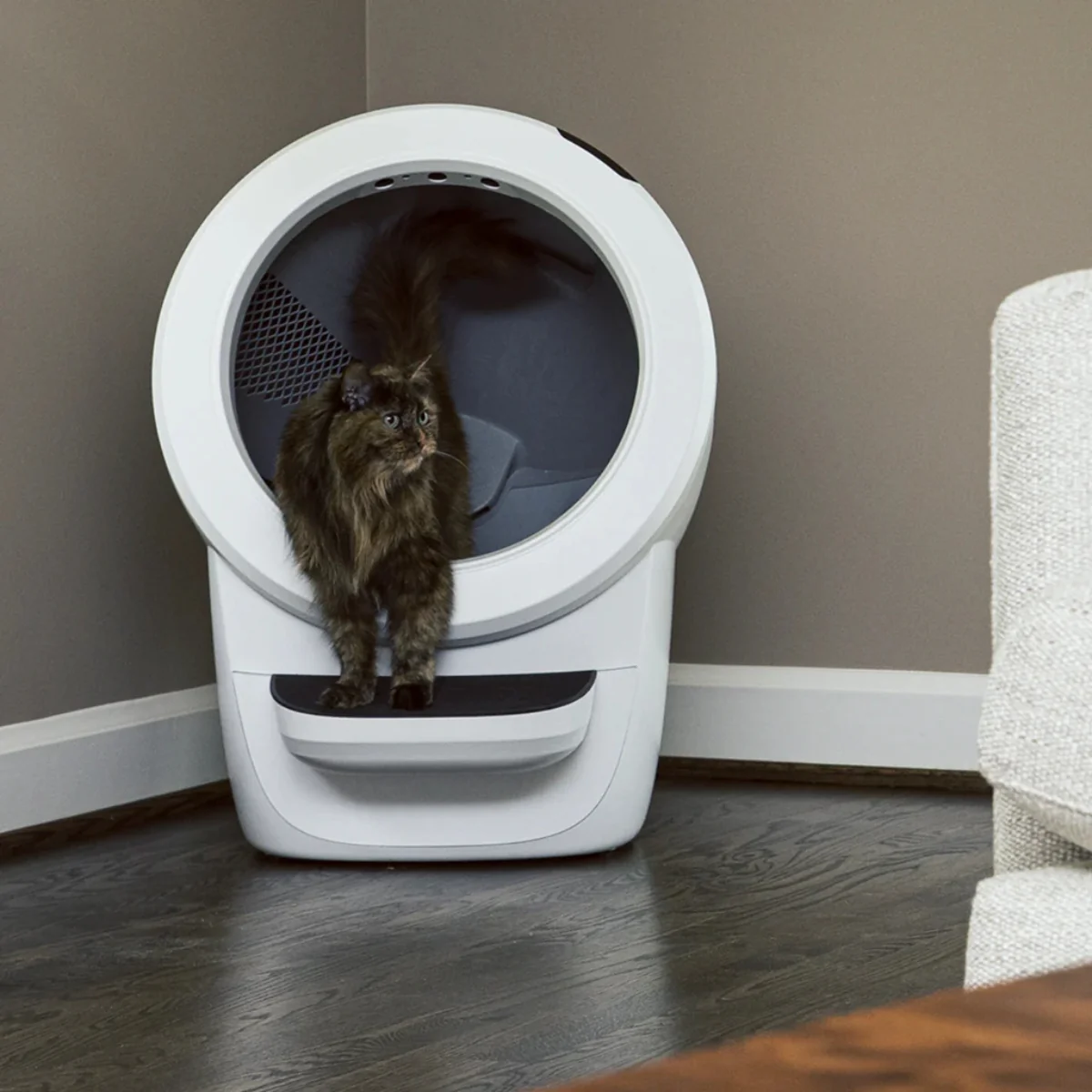 שירותים רובוטיים לחתולים Litter Robot 4 - Image 4